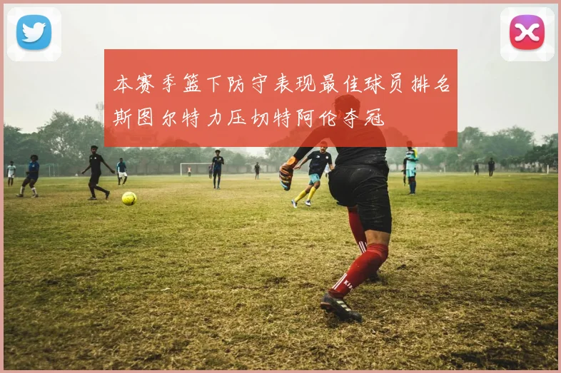 本赛季篮下防守表现最佳球员排名斯图尔特力压切特阿伦夺冠